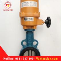 VAN BƯỚM ĐIỆN 