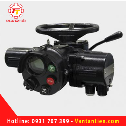 ĐỘNG CƠ ĐIỆN FLOWINN EMT 11 - 44
