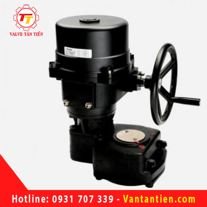 ĐỘNG CƠ ĐIỆN FLOWINN EOM 10 - 12