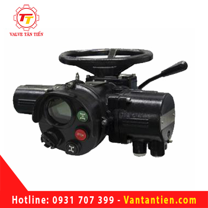 Electric actuator Flowinn EMT 1 
