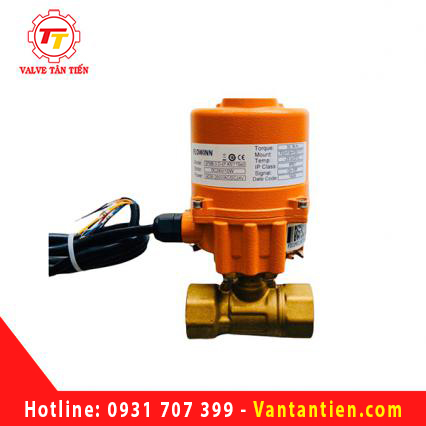 Van bi đồng điều khiển điện 